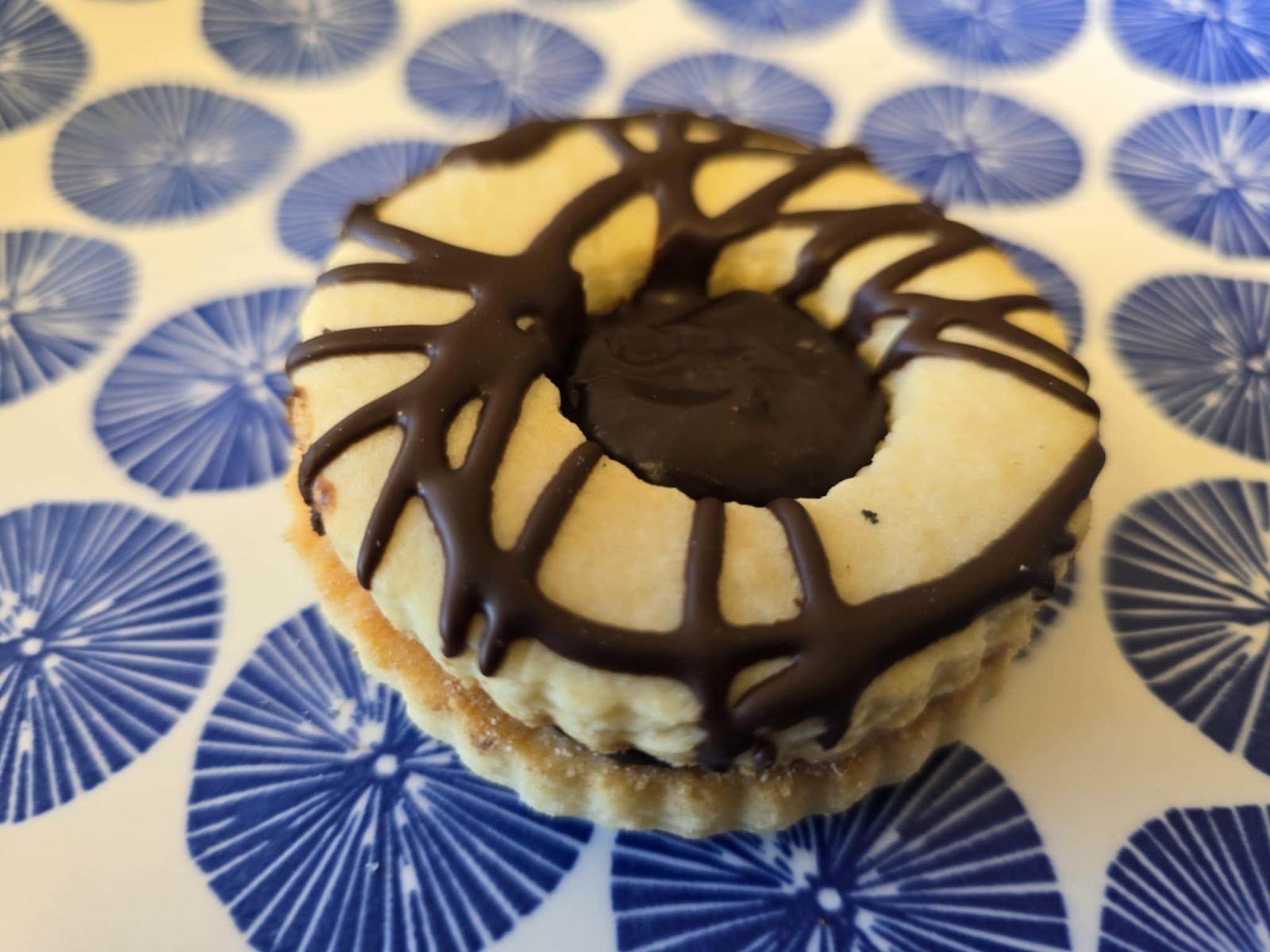 Chocolate Raspberry Sensation